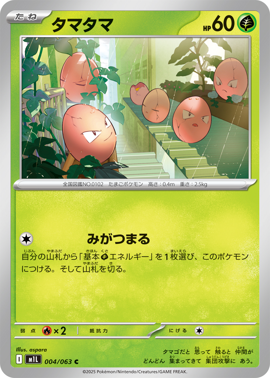 タマタマ (Japanese)