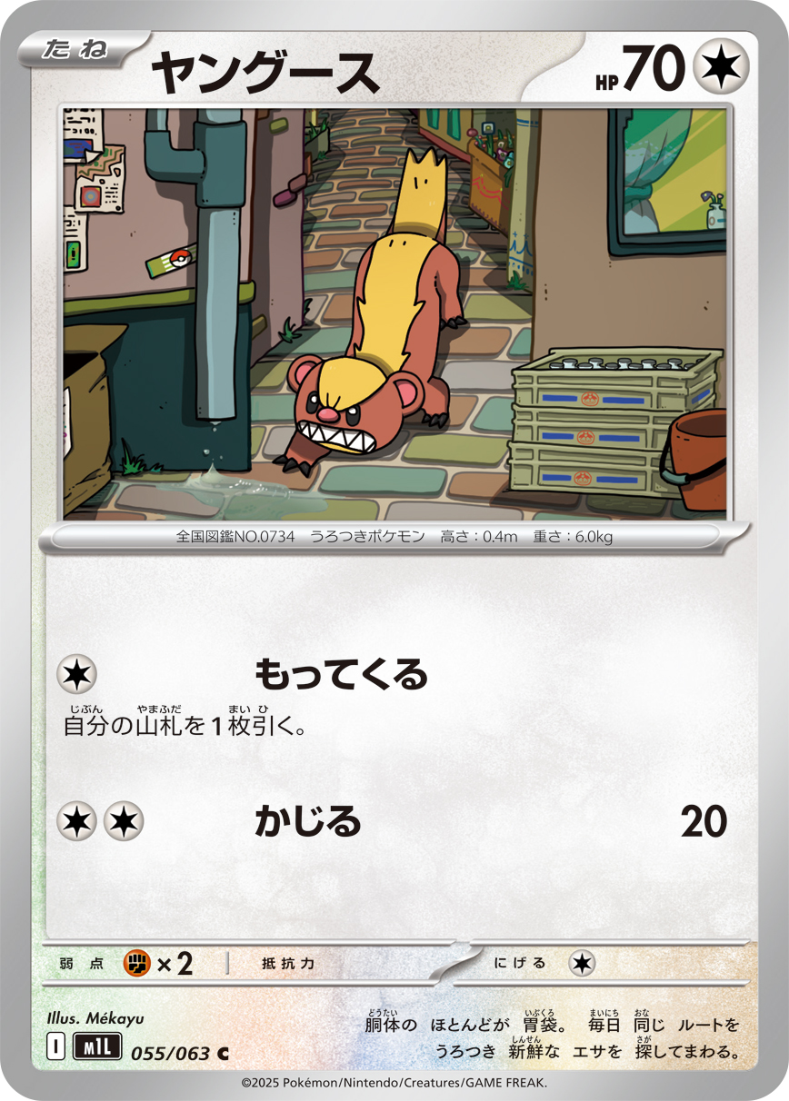 ヤングース (Japanese)