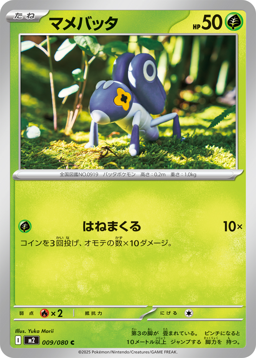 マメバッタ (Japanese)