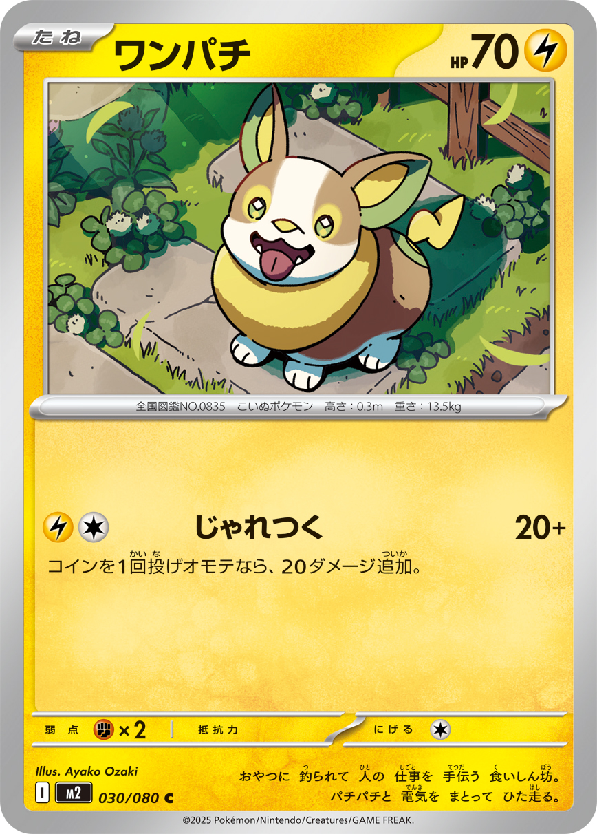 ワンパチ (Japanese)