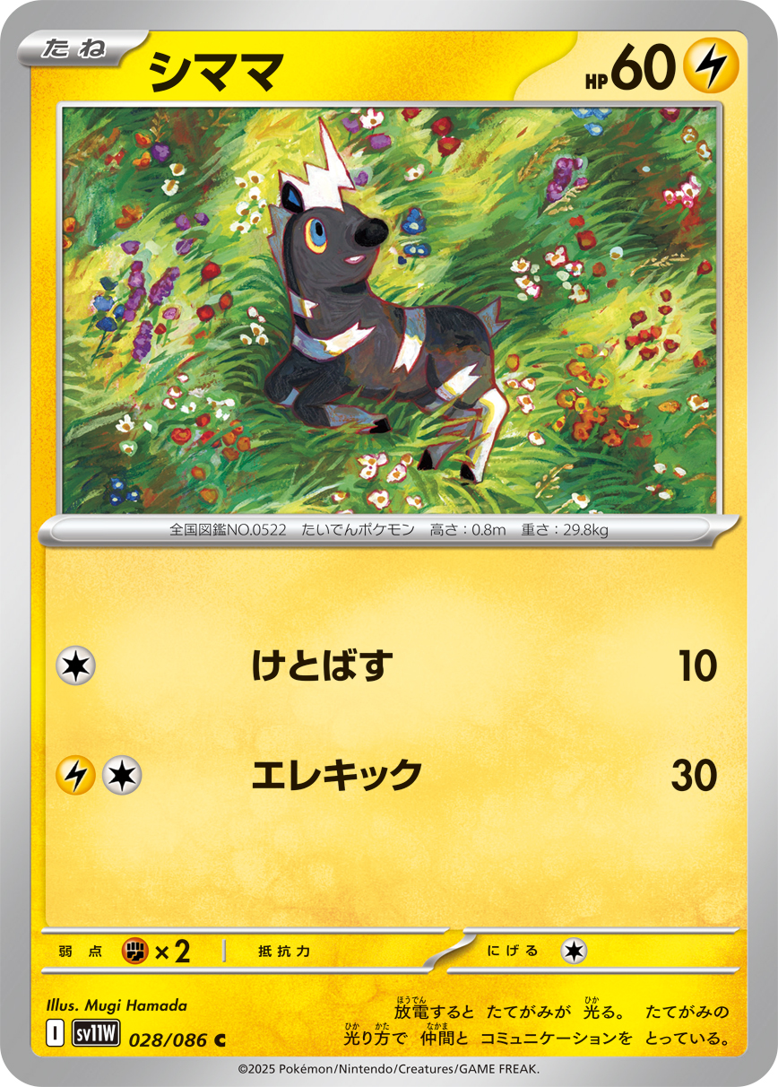 シママ (Japanese)