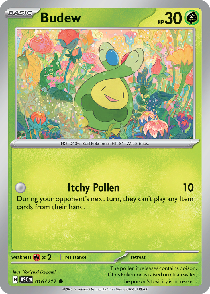 Budew (English)