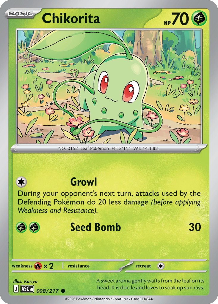 Chikorita (English)