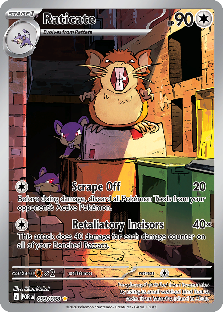 Raticate (IR) (English)