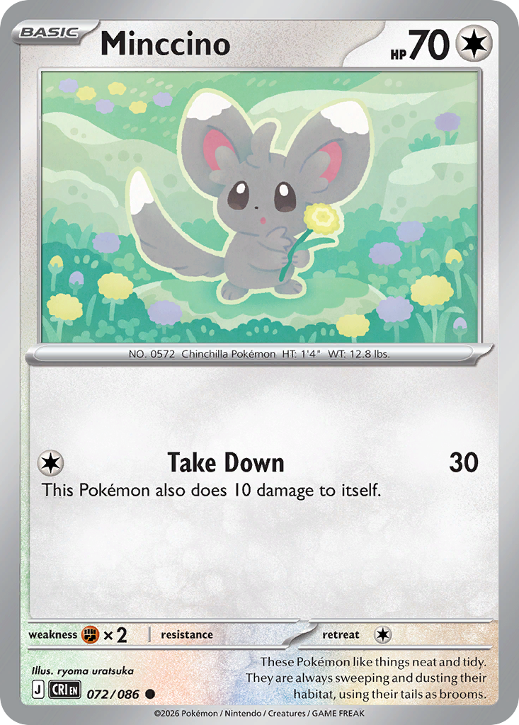 Minccino (English)